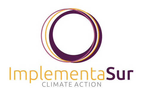 ImplementaSur logo.