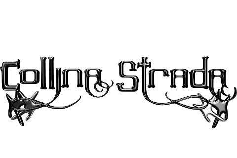 Collina Strada logo