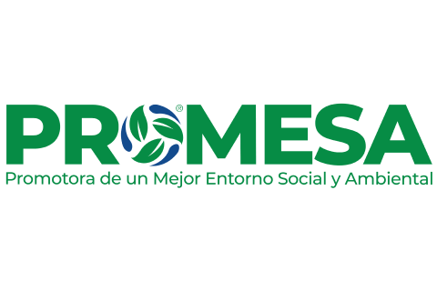Grupo PROMESA logo