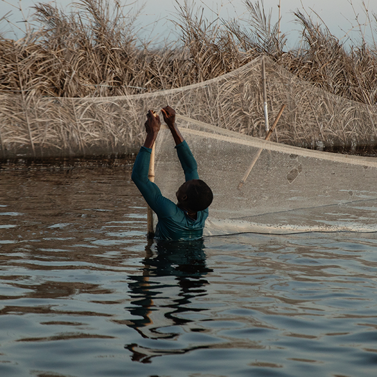 /content/dam/amazonclimatepledge/stories-2025/collections-navigation/natgeo-navgition-story8.png