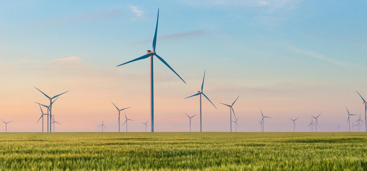 Group of windmills for electric power production in the green field of wheat