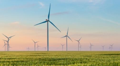 Group of windmills for electric power production in the green field of wheat