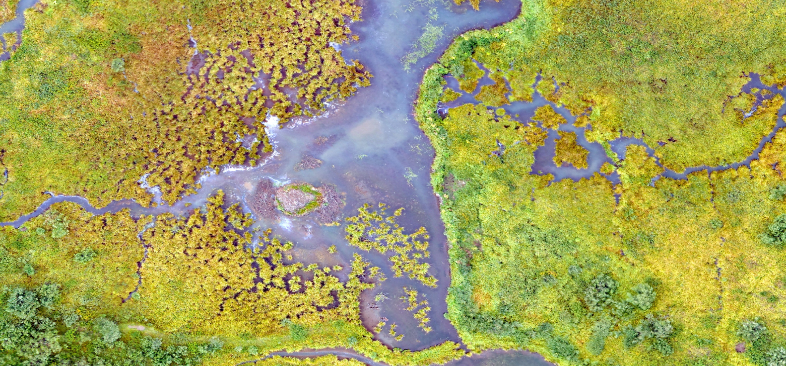 Drone image of a high-altitude wetland in the Rocky Mountains of Colorado. Wetlands enhance water quality and provide habitats for diverse plant and animal species.