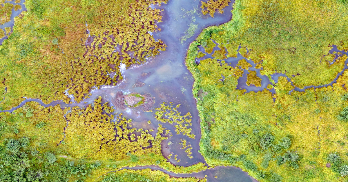 Drone image of a high-altitude wetland in the Rocky Mountains of Colorado. Wetlands enhance water quality and provide habitats for diverse plant and animal species.
