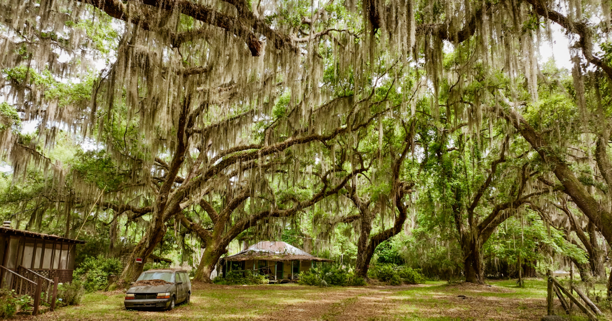 A Gullah Geechee neighborhood in Beaufort, South Carolina. Photo by Asha Stuart