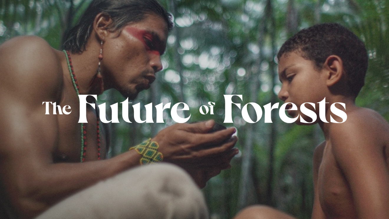 Future Forward: The Future of Forests episode; image credit: The Climate Pledge.