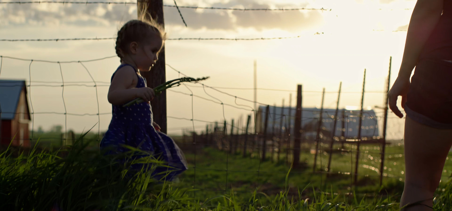 the future of farming article hero.