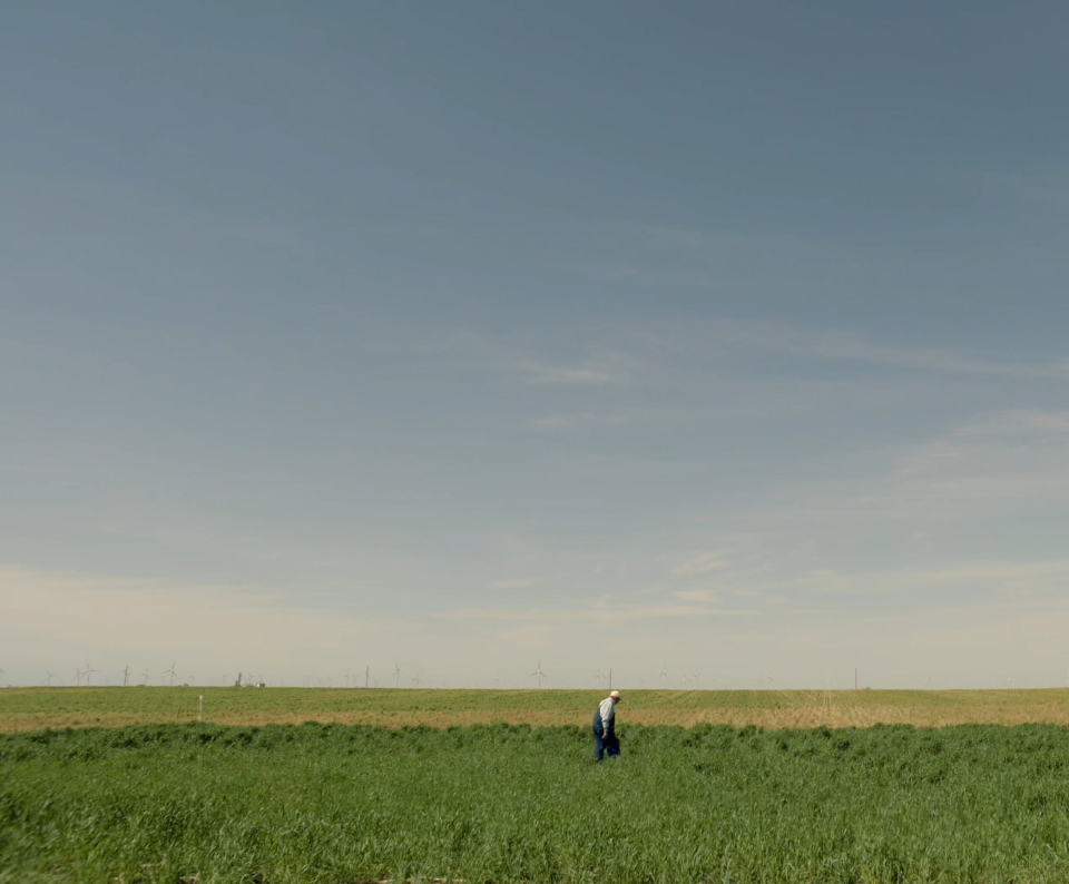 farming field image.