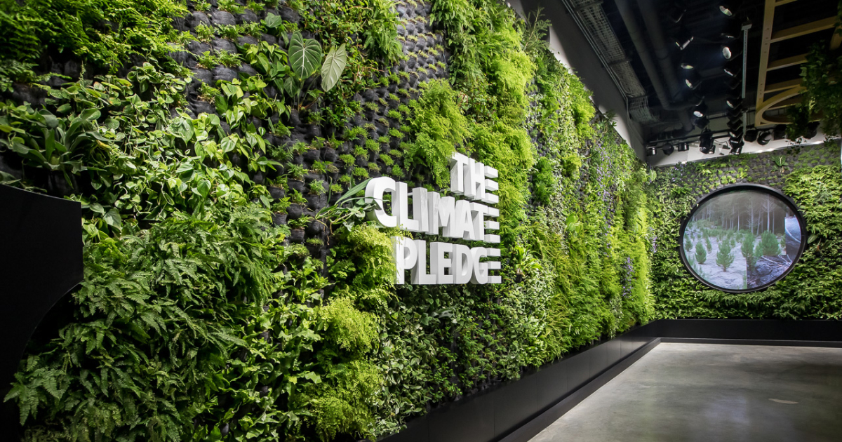 Inside the climate pledge arena alt.
